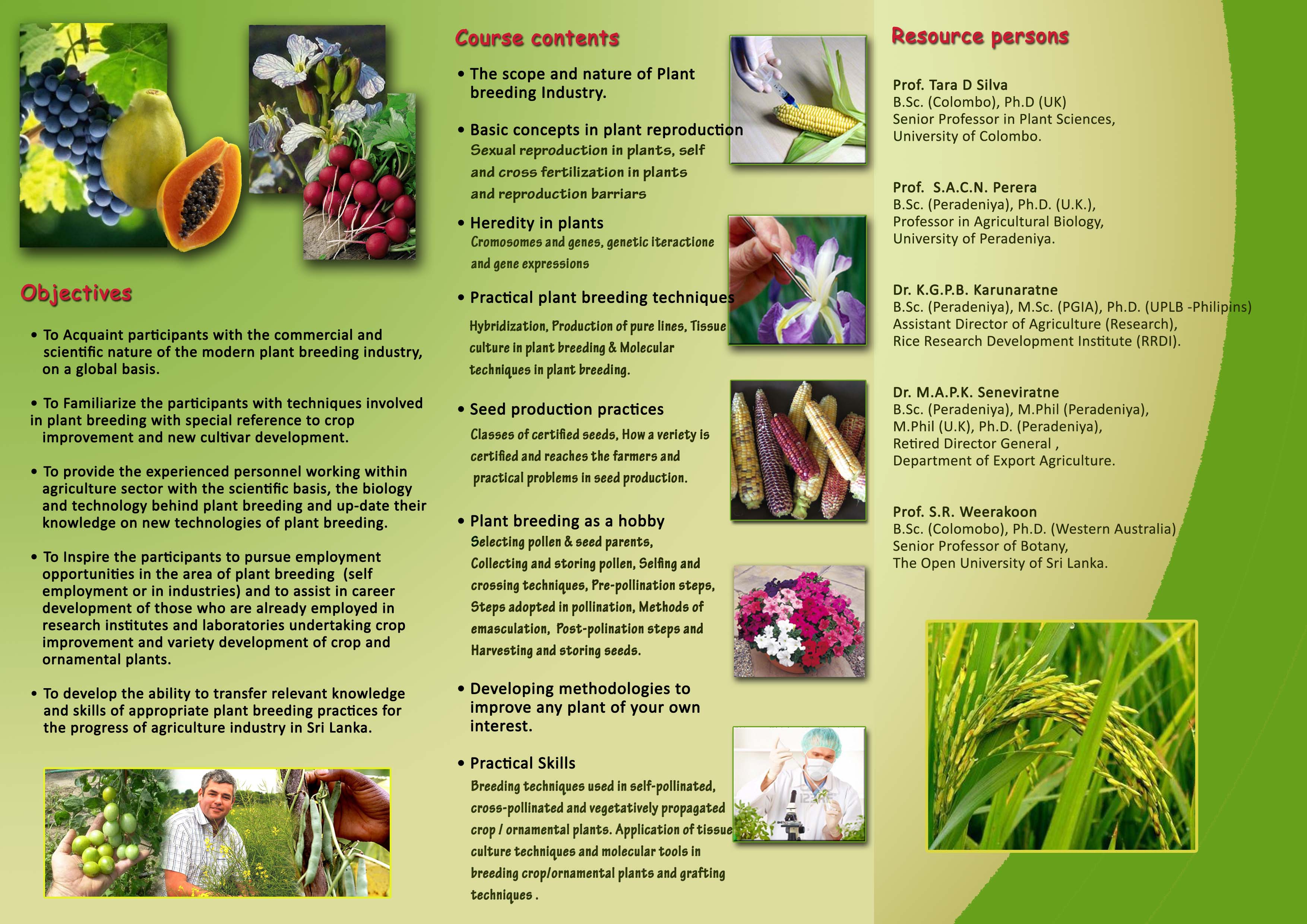 steps-of-hybridization-in-plants-4-main-steps-of-hybrid-seed