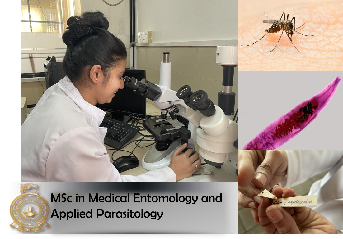 MSc in Medical Entomology & Applied Parasitology