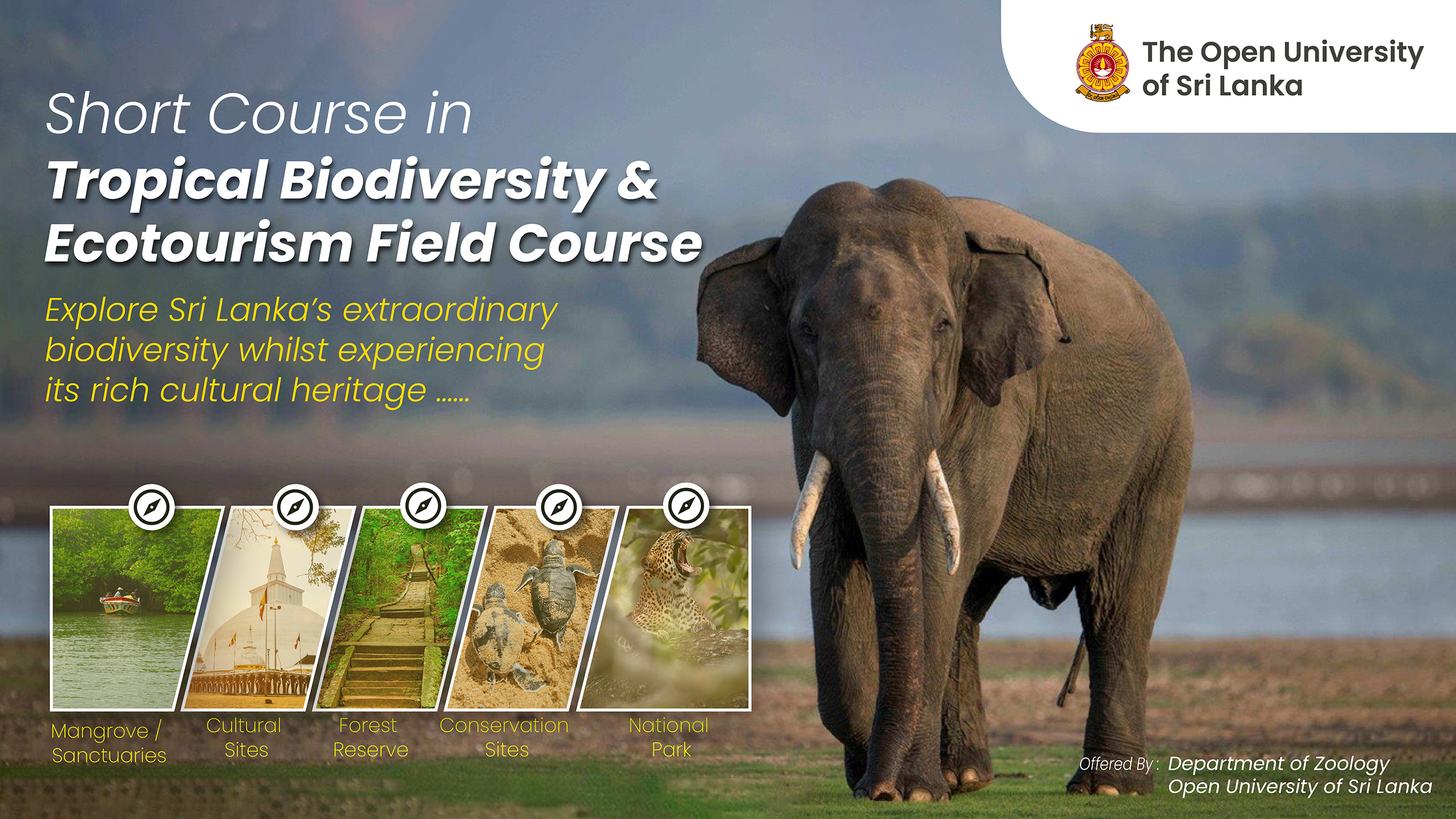 Short Course in Tropical Biodiversity and Ecotourism Field