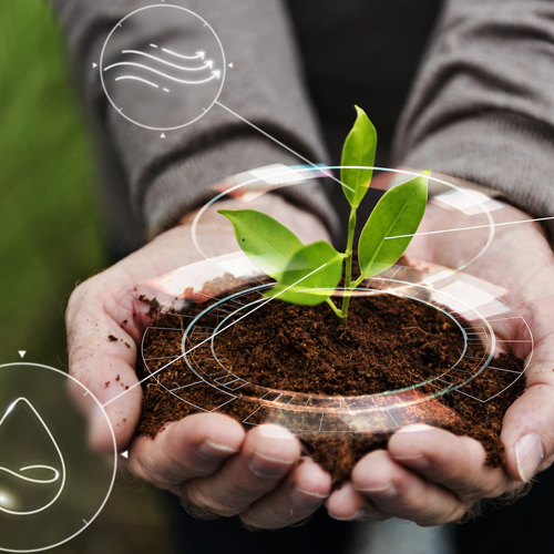 Bachelor of Science Honours in Engineering – Agricultural Engineering ...