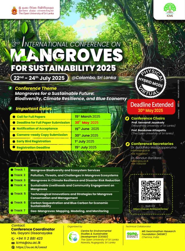 Flyer - ICMS 2025