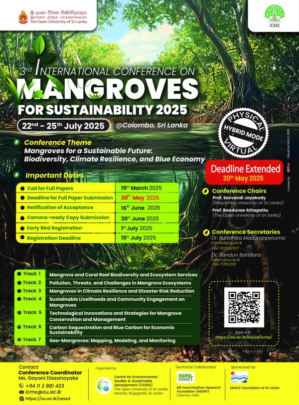 Flyer - ICMS 2025